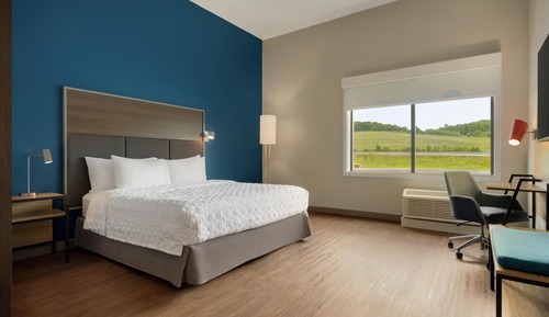 Room, 1 King Bed, Accessible (Roll-In Shower)