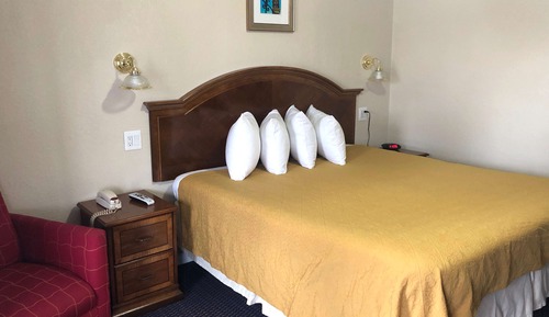 Room, 1 King Bed, Smoking