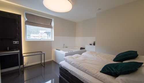 Business Studio Suite, 1 Queen Bed, Bathtub, Mountain View