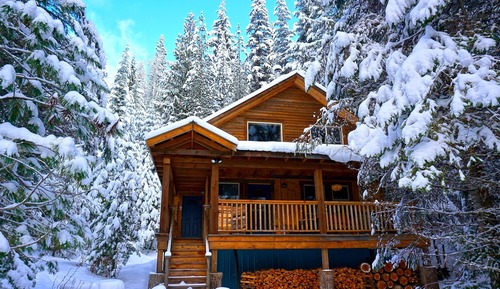 Gold Cup Cabin