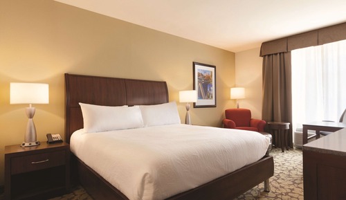 Room, 1 King Bed