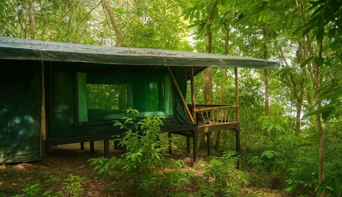 Family Bungalow