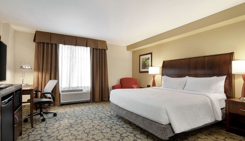 Room, 1 King Bed, Accessible (Roll in shower)