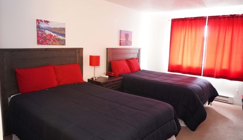 Standard Pet Friendly Room 2 Double beds