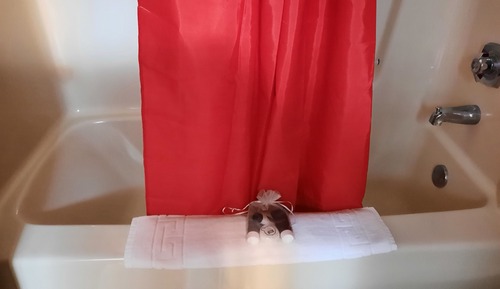 Economy Single Room