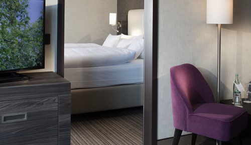 Suite, 1 King Bed with Sofa bed (Single Use)
