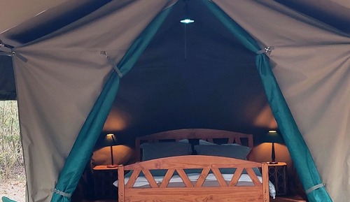 Economy Tent
