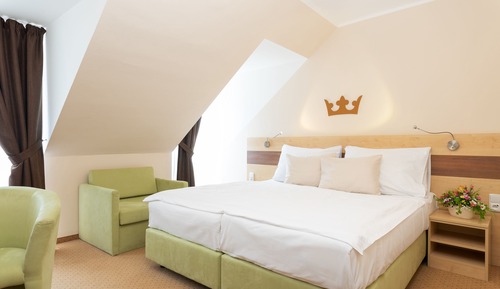 Superior Double or Twin Room