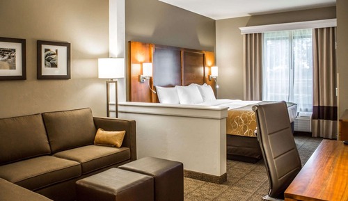 Suite, 1 King Bed with Sofa bed, Non Smoking (Pet Friendly)