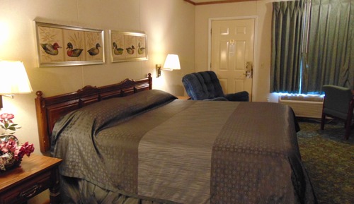 Room, 1 King Bed, Non Smoking