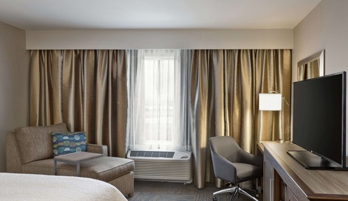 Room, 1 King Bed with Sofa bed