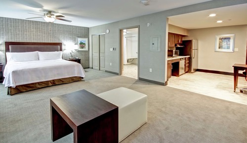 Studio, 1 King Bed, Accessible, Non Smoking (Roll-in Shower)