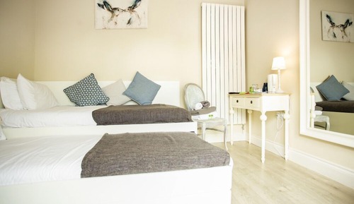 Standard Room (twin bed with trundle)