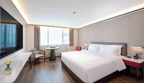 Comfort Single Room