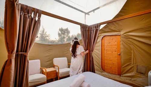 Gemini Glamp