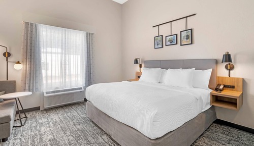 Room, 1 King Bed, Roll-in Shower, Non Smoking