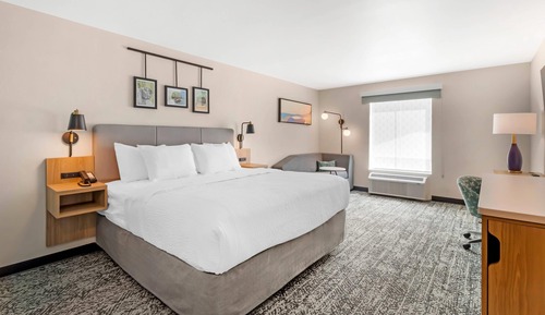 Standard Room, 1 King Bed with Sofa bed, Non Smoking