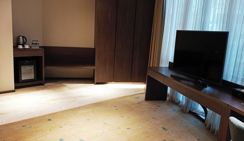 Executive Room, City View