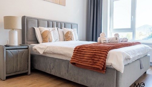 Deluxe Apartment, 1 Bedroom, Balcony, Mountain View