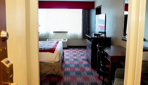 Basic Studio Suite