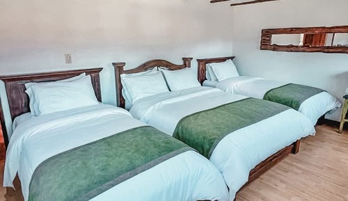 Comfort Quadruple Room