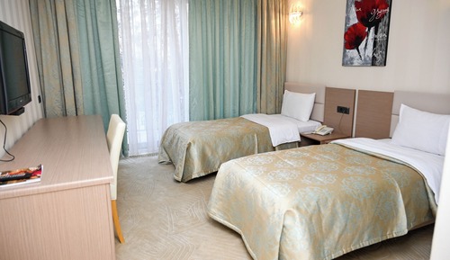 Standard Twin Room