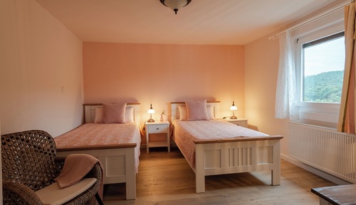 Twin Room, Hill View