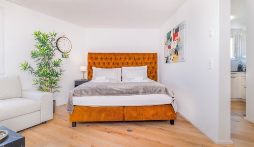 Elegant Studio 35m2