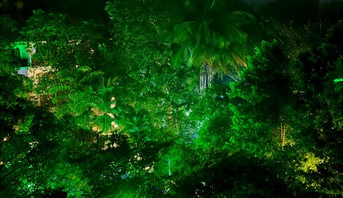 Family Room, Balcony