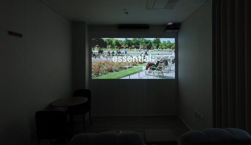 Deluxe Movie Room