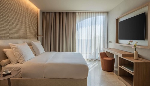 Superior Room, 1 King Bed with Sofa bed
