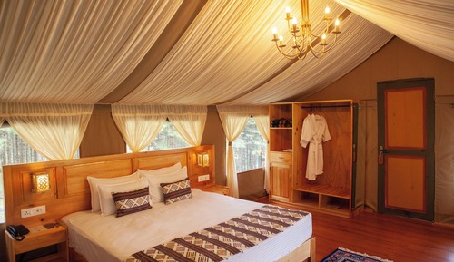 Deluxe Twin Room, Patio, Mountain View