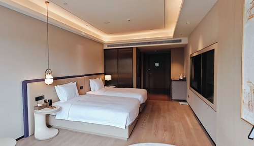 Deluxe City Wall View Twin Room