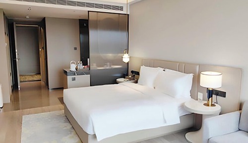 Premium City Wall View Queen Room