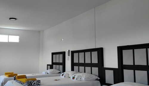 Comfort Twin Room