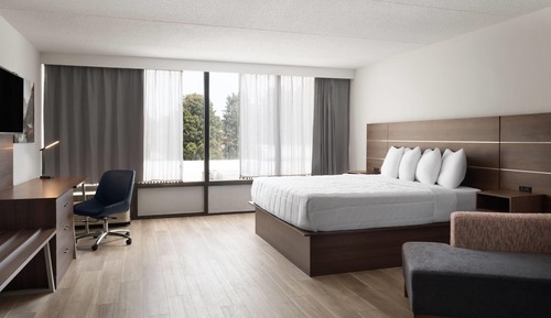 Suite, 1 King Bed with Sofa bed, Non Smoking
