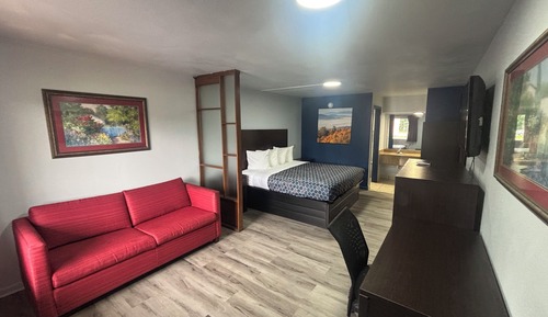 Room, 1 King Bed, Smoking