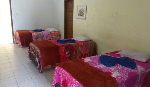 Basic Triple Room, 3 Twin Beds