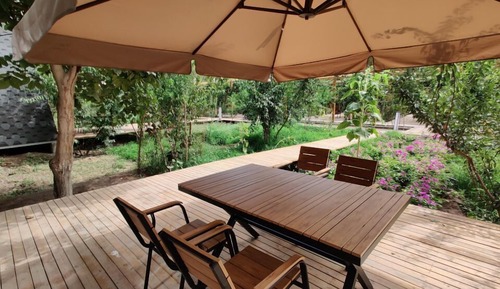 Family Studio Suite, Patio, Courtyard View
