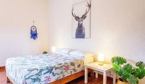 Economy Double Room, City View
