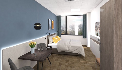 Standard Room, 1 King Bed with Sofa bed