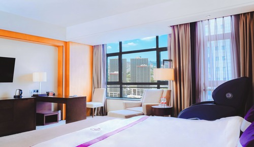 Comfort Single Room