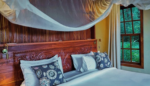 Deluxe Double Room, Terrace, Garden View