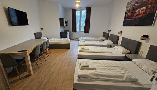 Studio, Multiple Beds, Kitchen