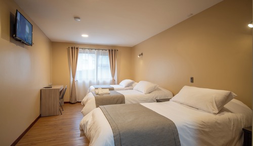 Triple Room, City View