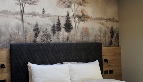 Double Room Single Use