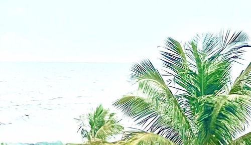 Comfort Studio Suite, Patio, Sea View