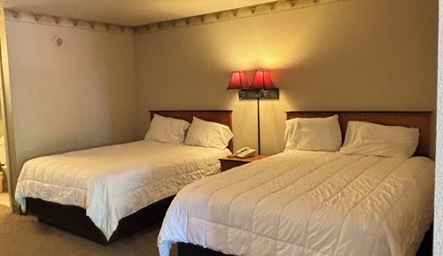 Family Studio Suite