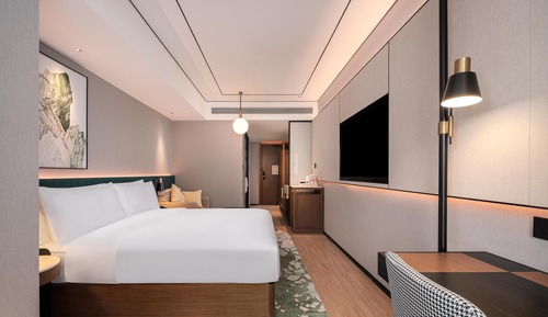 Room, 1 King Bed