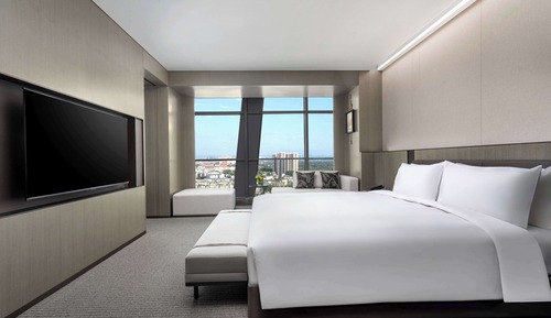 Business Suite, 1 King Bed